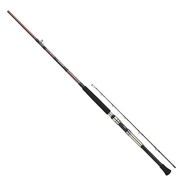 Amazon | ダイワ(DAIWA) 船竿 ディープゾーン 73調子 150-180